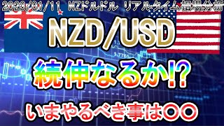 【続伸なるか？】今やるべきことと注目ポイント《FX・相場分析》