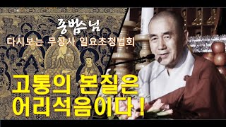 [다시보는BTN]종범스님  무상사법회-고통의 본질은 어리석음이다!