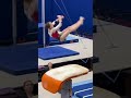 vaulting to victory the perfect leap