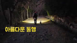 오늘밤도 길냥이들에겐  너무 추운 밤입니다 따뜻한 응원 부탁드립니다