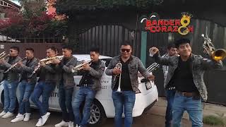 El Abejorro BANDA PURO SANTA ROSA 🤩🎺