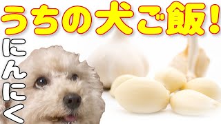 トイプードル 　【手作り】　かんたん　 にんにく　を使ったうちの犬ごはん 　#06