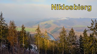 Walk over the Niklosbierg (Nicholas' mount) near Vianden, Luxembourg, Jan. 2023 [4K]