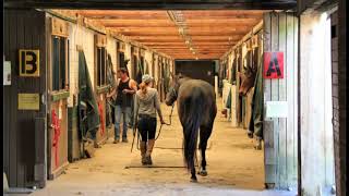 Bothell Farm and Ranch For Sale - 19511 51st Ave SE, Bothell, WA 98012