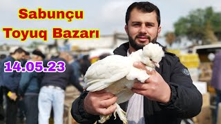 Sabunçu Toyuq Bazarı 14 May 2023