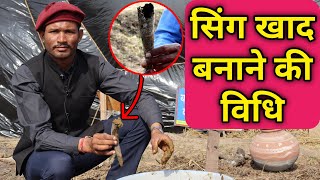 सींग खाद बनाने विधि और फायदे | sing khad banane ki vidhi / sing khad ke fayde biodynamic horn manure