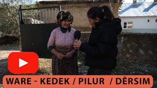 WARE - KEDEK / PILUR  / DÊRSIM