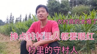 在城里也难，农村也难，做人怎么这么难，挣点钱真的比登天还难。