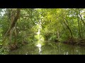 boat ride through the poothotta backwaters along trees