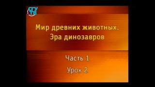 Динозавры. Урок 1.2. Палеонтологические исследования