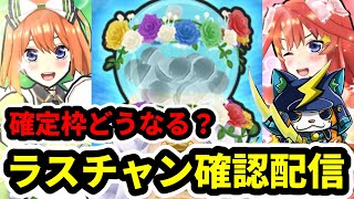 ぷにぷに「ラスチャン確認」ダメラン\u0026雑談生配信！！【五等分の花嫁コラボ・妖怪ウォッチぷにぷに】