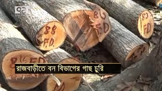 রাজবাড়ীতে শতাধিক গাছ চুরি | More than 100 trees stolen in Rajbari | News | Ekattor TV | 2019