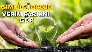 Sonbaharda Gübrelemenin Avantajları (Sebzeleriniz ve Meyve Ağaçlarınız İçin Gübreleme Tüyoları)