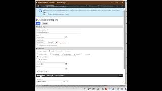 Schedule a Report in NetSuite in 60 seconds or less!