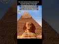 Mind blowing facts about cockroach and pyramid of giza. FactBlaze #facts  #viral