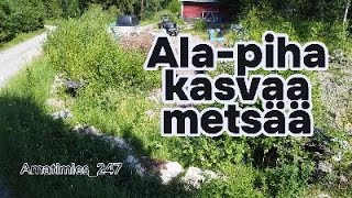 Ala-piha kasvaa metsää!! Solis joutuu kaivuu hommiin