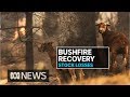 Losses mount for farmers in bushfire ravaged regions | ABC News