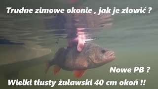 Trudne zimowe okonie jak je złowić ? Wielki 40 cm okoń!!! Boczny skan Garmin Striker 7 SV w akcji