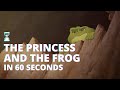 Princess and the Frog in 60 Seconds (OKAY 85 SECONDS SUE ME)