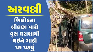 અરવલ્લી: ભિલોડના લીલછા પાસે વૃક્ષ ધરાશાયી થઇને ગાડી પર પડયું