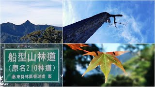 20201128 船型山210林道+烏石坑山