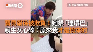 寶貝貓孫被欺負！她祭「連環巴」　親生女心碎：原來我才是撿來的│寵物│貓咪｜猫｜ねこ│Pet│Cat│Kitten