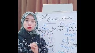 ( NUCLEOPROTEIN Metabolism Session 4)Pyrimidine metabolism P 1