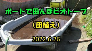 【田んぼビオトープ】田植えしてみた！