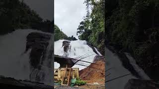 #Charppa Waterfalls #Charppa Bridge#shorttravel#Travel