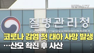 코로나 감염 첫 태아 사망 발생…산모 확진 후 사산 / 연합뉴스TV (YonhapnewsTV)