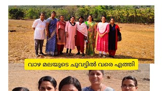 ഗ്രാമീണ ഭംഗിയിൽ വാഴ മലയുടെ അരികിലൂടെ♥️🙏|Less is more43#video