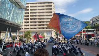 よさこいさせぼ祭〜鹿児島大学国際大学よさこい部創生児〜