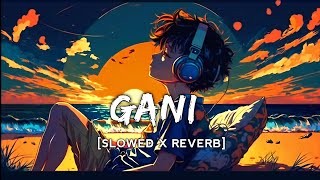 Gani | Slowed X Reverb | Akhil