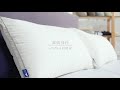 bedding 寢具系列 🛌🛌