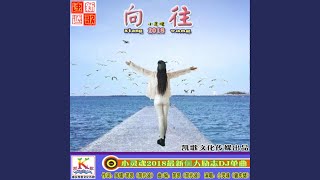 曾经为爱伤心哭泣 (DJ版)