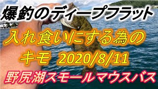 爆釣のディープフラット　狙い方のキモ　野尻湖スモールマウスバス