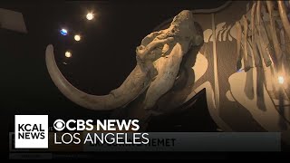 Exploring Hemet: SoCal Spotlight