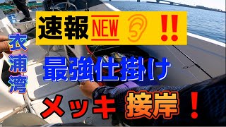 【衣浦湾】きたぁ～🎵　メッキ接岸❗