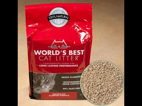 World's Best Cat Litter Multiple Cat Clumping Formula - Photos All ...