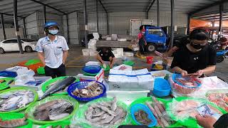 來唷開始看現切鮭魚 中彰海王子海鮮拍賣 台中東興市場海鮮叫賣