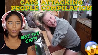 I WANT A CAT NOW! CATS ATTACKING PEOPLE COMPILATION REACTION | ImStillAsia