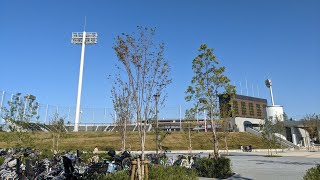 クレヴィア小杉御殿町　建設地周辺レポート