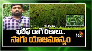 ఖరీఫ్ రాగి రకాలు.. సాగు యాజమాన్యం | Kharif Copper Varieties | Cultivation | Matti Manishi | 10TV