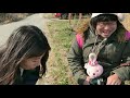 第129回 満開のオオイヌノフグリ【千葉県野田市】