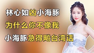 林心如凶小海豚：为什么你不像我？小海豚急得飚台湾话，太搞笑了