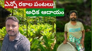 NATURAL FARMING | ప్రకృతి వ్యవసాయంలో ఏడు సంవత్సరాల అనుభవం ఉన్న రైతు