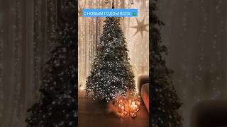 С НОВЫМ ГОДОМ ВСЕХ 🎄🎄🎄 ДРУЗЬЯ !. #новыйгод #праздник