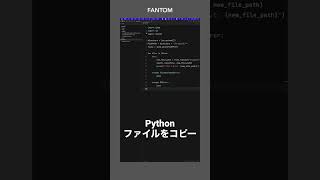 Python ファイルをコピー