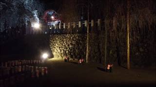 (Iwaki) Illuminated cherry blossoms at night-Suwa Shrine, Ogawa-cho, Iwaki-shi