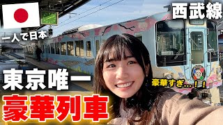 日本観光列車を初めて乗ったら驚きの連続！これって…列車⁉️想像以上に凄すぎて大感動😭【52席の至福】